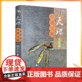 正版 天珠珍藏宝典/天珠收藏宝典 天珠鉴赏宝典 天珠收藏鉴赏指南 天珠收藏与鉴赏 徐文生 著 青海民族出版