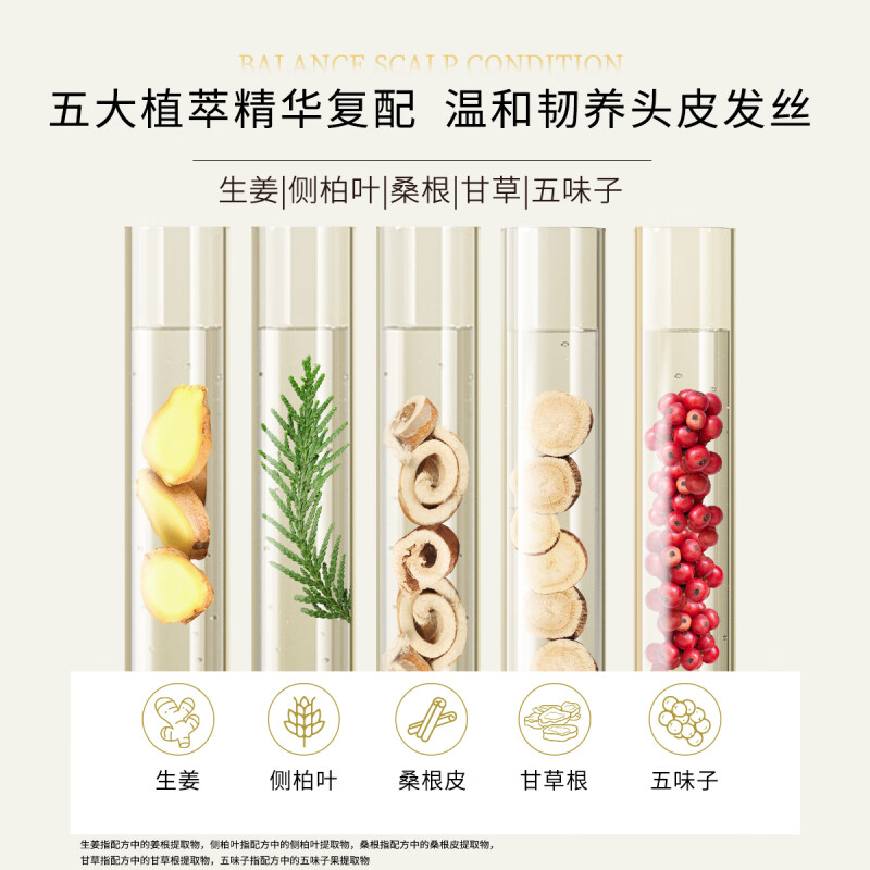 滋源 生姜强根健发洗头水(中干性) 535ml(单位:瓶) 松石绿高清大图