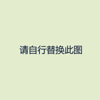 hizhg丨压力表;PG-V-160K-4VSM-C-P-N_53