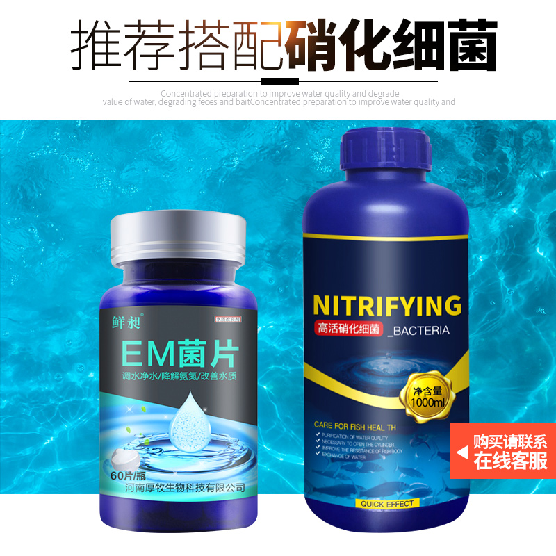 浓缩硝化菌片净化水质养鱼益生菌em菌鱼缸用品水族专用高清大图