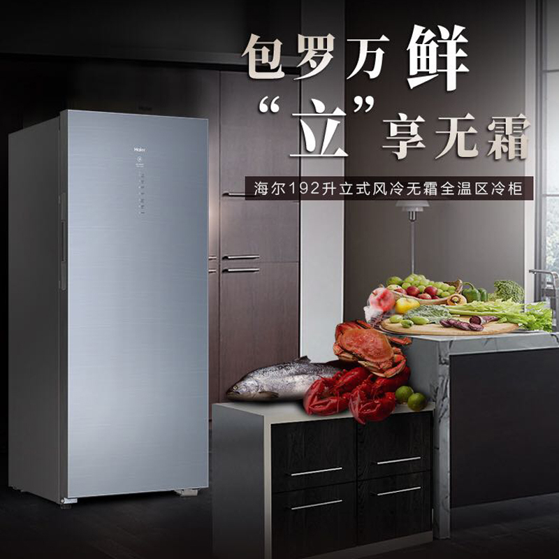 海尔(Haier)192升家用立式冰柜冷柜冷藏冷冻柜小冰箱 风冷无霜 多层独立分区 立式分储占地小 BD-192WEGL