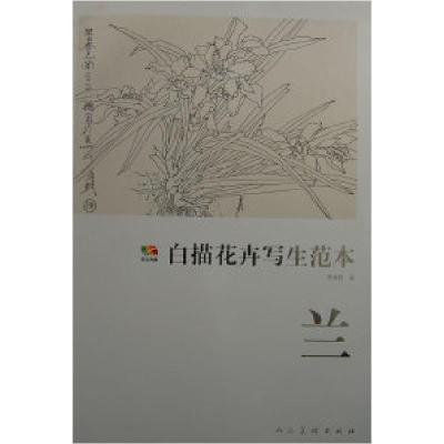 11兰-白描花卉写生范本978710205347922