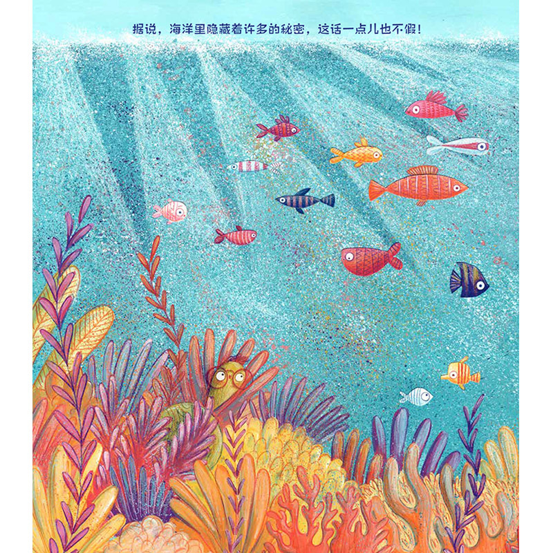 海洋里的小秘密 [正版] 海洋里的小秘密 儿童系列3-4-5-6岁儿童绘本