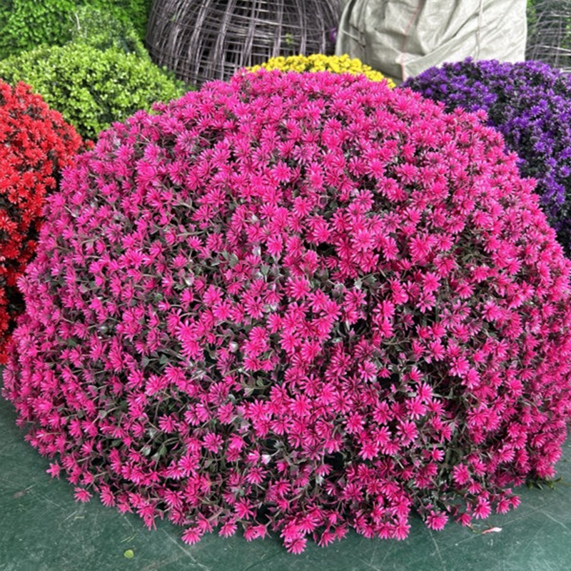 iChoice 户外绿植井盖遮挡装饰品绿植球仿真绿植草球 绿色80厘米钢筋绿植佛家草球半圆状高清大图