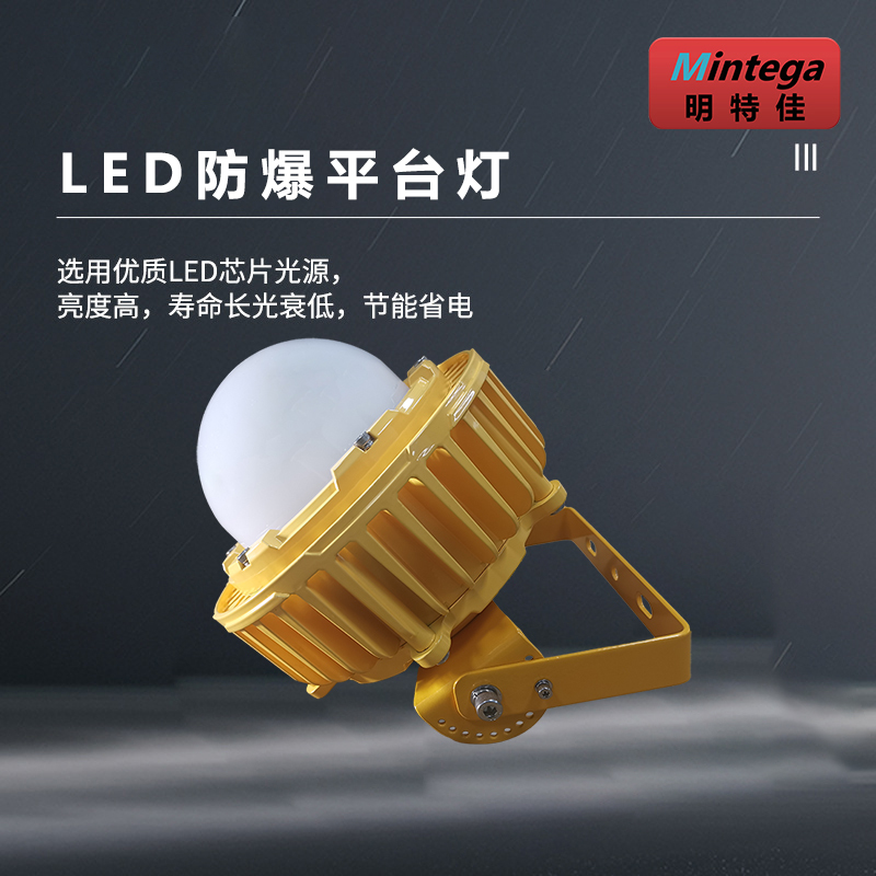 明特佳-Mintega FPD8504-L100 LED防爆平台灯 100W 黄色 (单位:套)