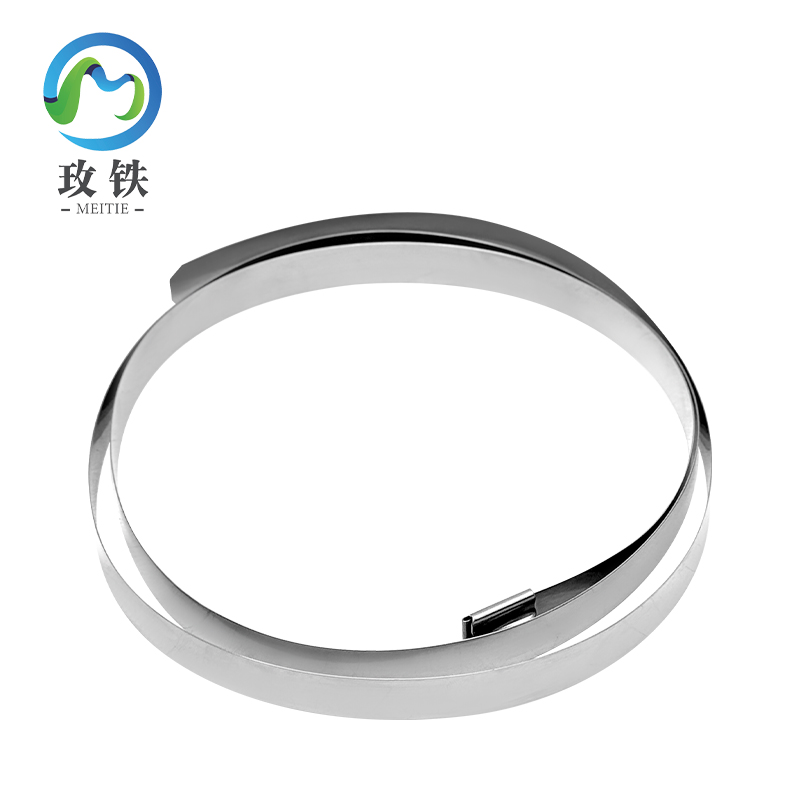 玫铁 自锁式不锈钢扎带 19*1600mm 条高清大图
