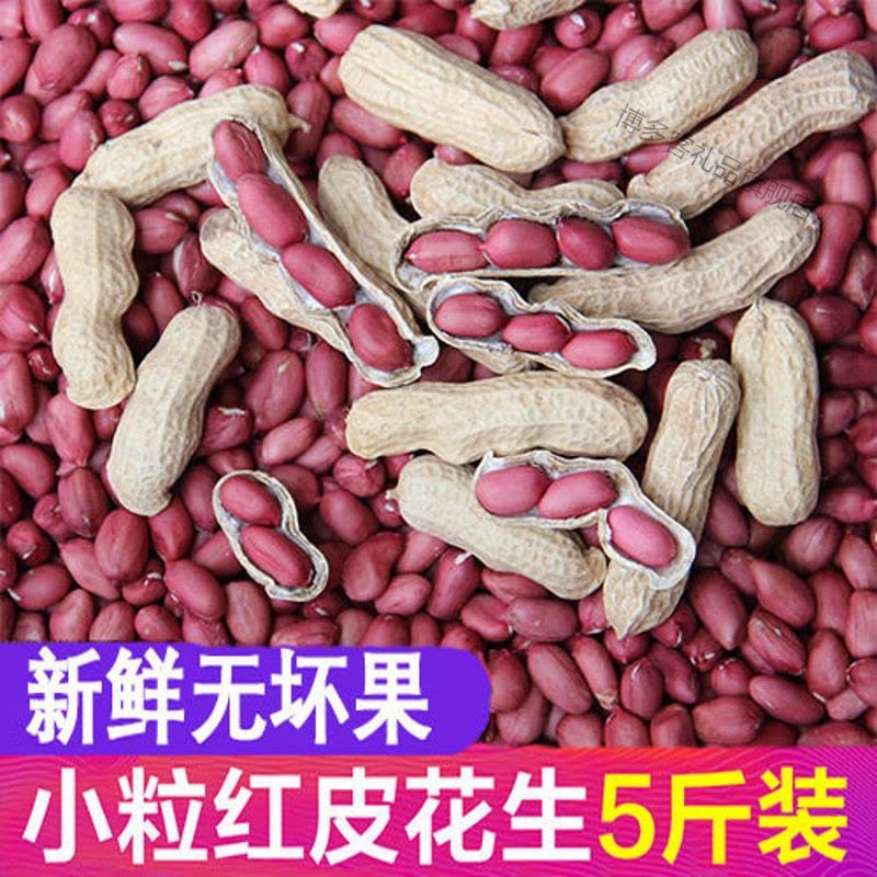 带壳花生]20年四粒红红皮花生米铁锅炒熟花生带壳小粒四粒红种子图片