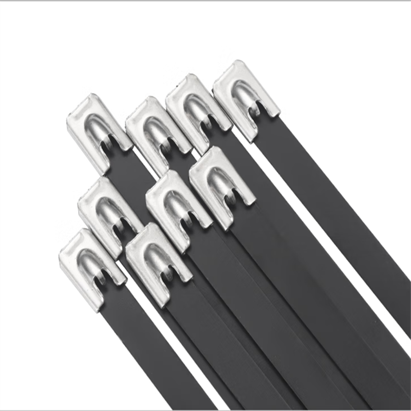 幸庭 包塑不锈钢扎带 4.6*200mm 包 (百根/包)高清大图