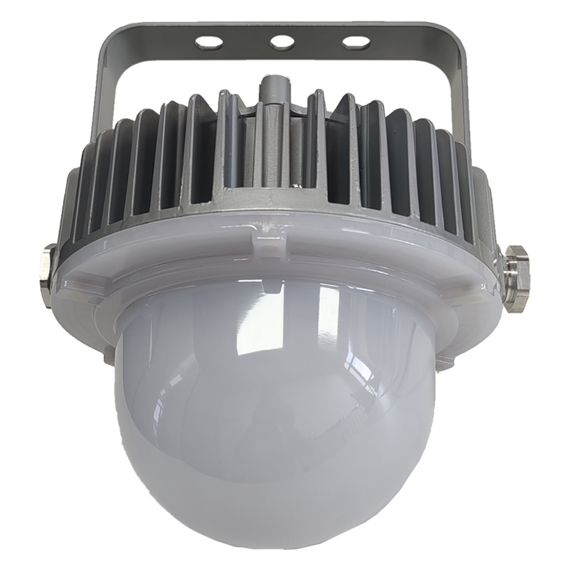 光大特照 EBF605(LQ)-60 60W 220V IP66 LED平台灯 (计价单位:个) 银白色