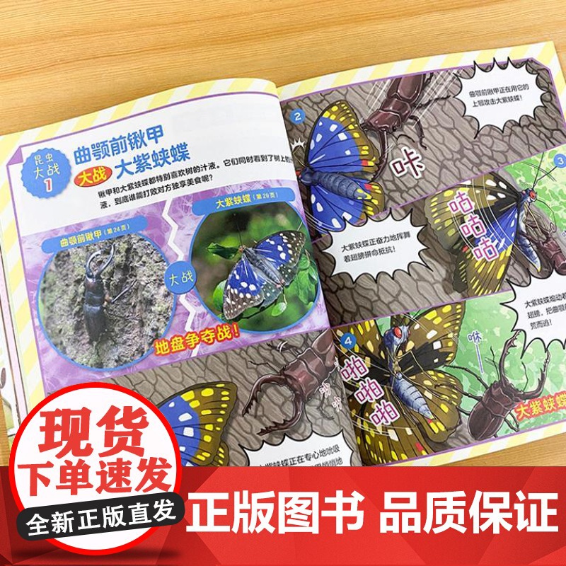 这才是孩子爱玩的昆虫图鉴(昆虫主题全科启蒙!昆虫图鉴+益智游戏,让孩子边玩边学知识!) 9787559488169 江苏高清大图