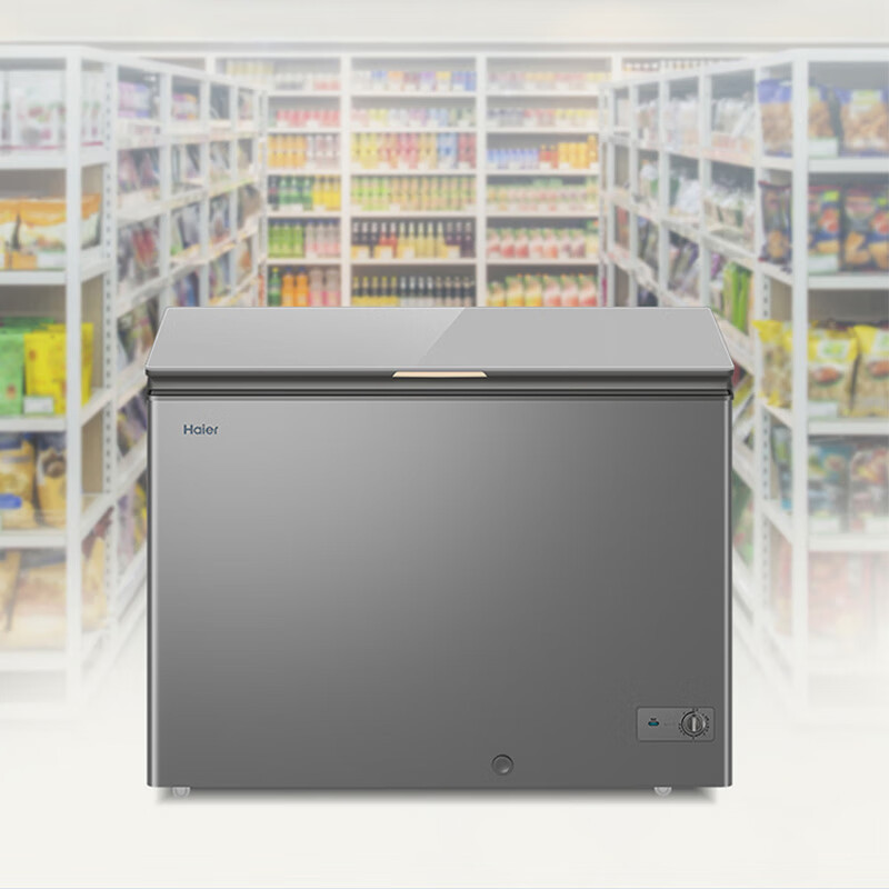 海尔(haier)冷柜bc/bd-308ghpg报价_参数_图片_视频_怎么样_问答-苏宁