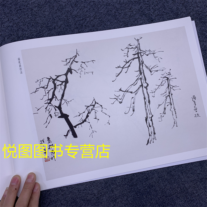 [正版]2本 荣宝斋画谱何海霞绘山水写生部分+何海霞绘课徒画稿部分 荣宝斋出版社 何海霞山水画集作品集 荣宝斋出版社高清大图