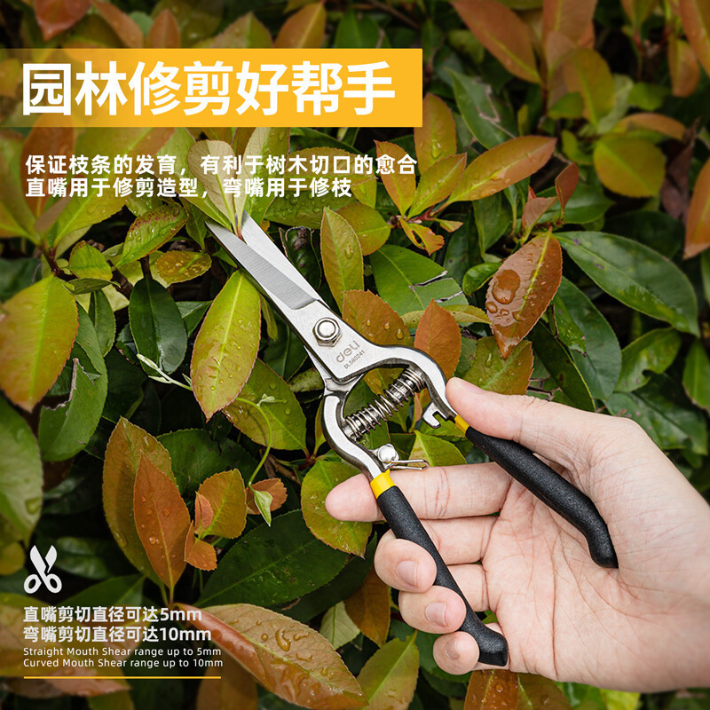 得力(deli)园艺剪套装(黑)2件套DL580241