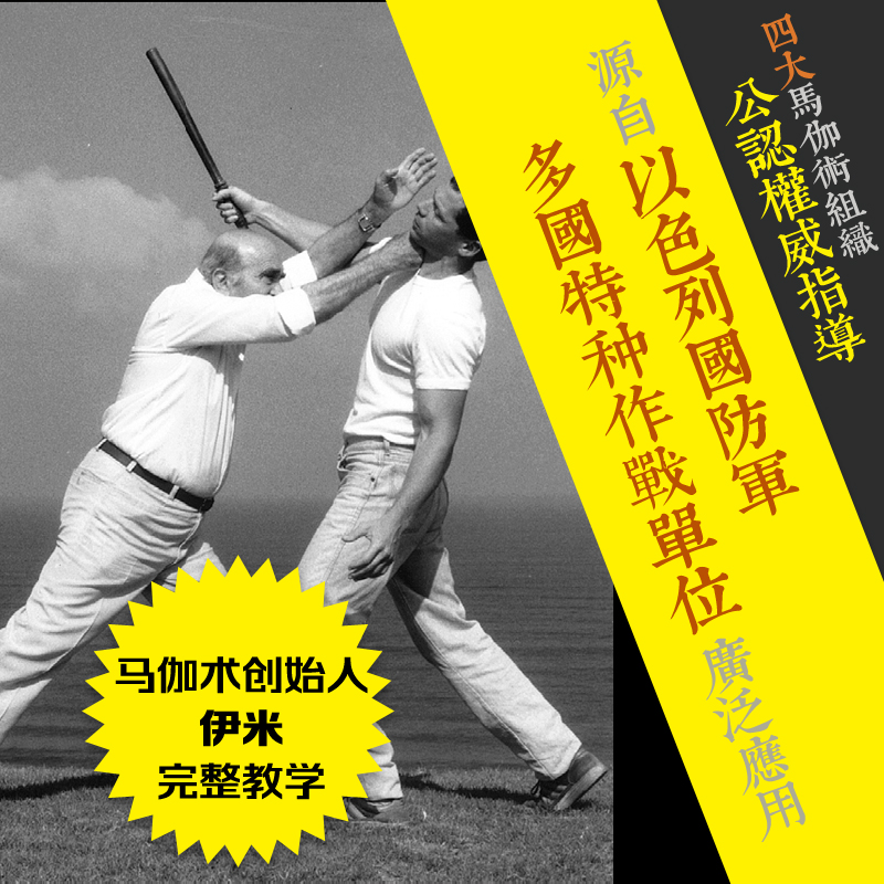 伊米大师以色列格斗术高清大图