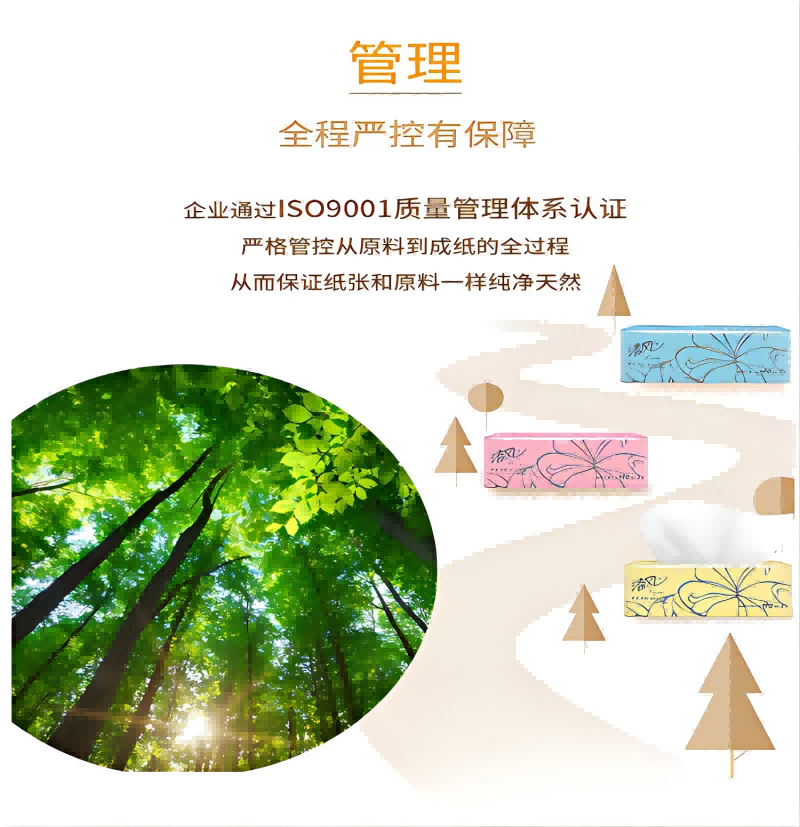 清风超质感系列抽纸3包一提(3层110抽)AR33LS1 单提高清大图