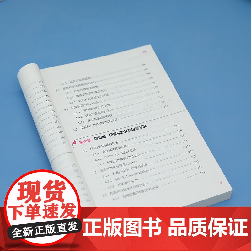 一人公司 用个人品牌实现自由人生 王艺霖 著 管理高清大图