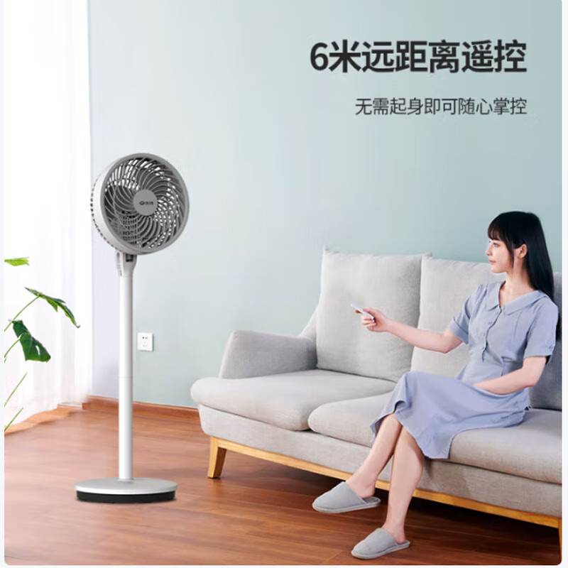 先锋(SINGFUN)家用大风量电风扇落地扇办公室遥控电扇空气循环扇 FC18-21DR高清大图