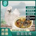 [苏鲜生推荐]三物纪 白羽乌鸡800g/只 2只装新鲜现杀冷冻肉质鲜美农家慢养整只顺丰发货