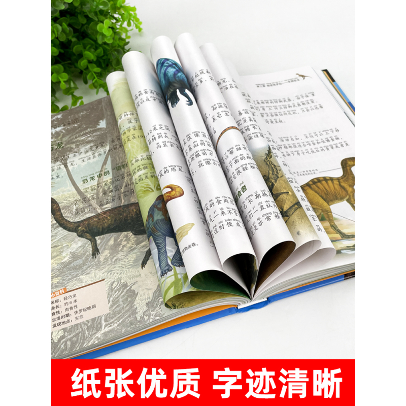 [精装3册]恐龙+动物+植物百科全书 [正版]硬壳彩图注音 恐龙百科全书少儿 恐龙大百科 适合男孩的读物 一二三年级课外