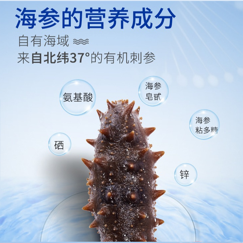 即食好当家深海底播有机刺参海参500g 8-10头非海参干货礼盒 单盒价