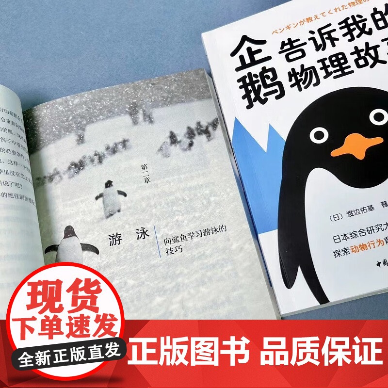 企鹅告诉我的物理故事 渡边佑基 著 中小学教辅高清大图