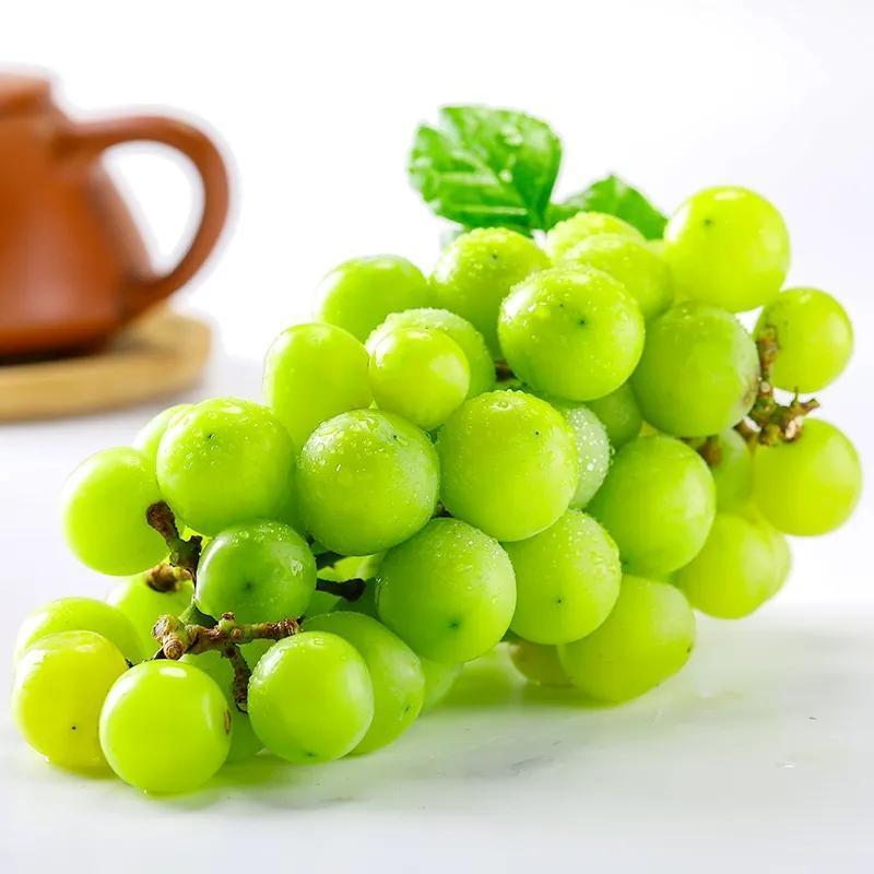 西沛生鲜阳光玫瑰葡萄3斤特级果葡萄青提子应当季脆甜新鲜水果孕妇