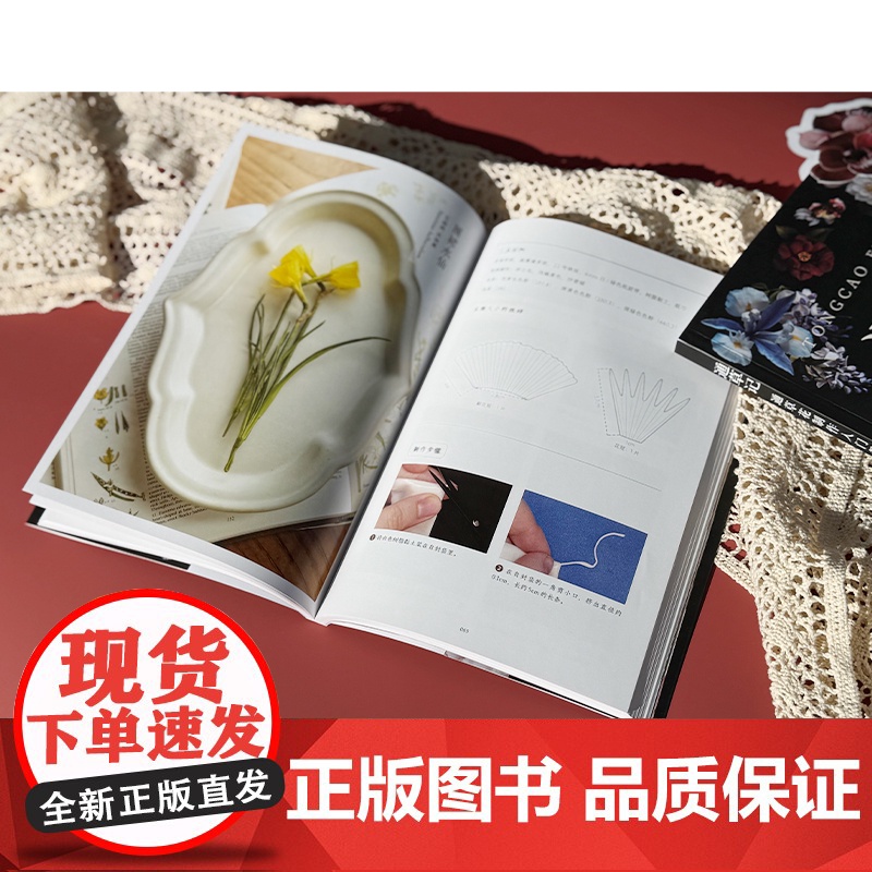 赠书签 通草记 通草花制作入门教程 仿真花永生花制作工艺技法 中国传统文化 零基础初学者入门案例详解图解非遗手工DIY一高清大图