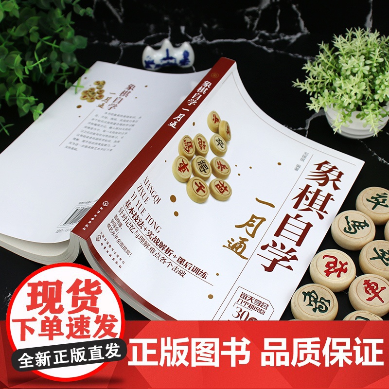 象棋自学一月通 刘锦祺 编 化学工业出版社 正版书籍高清大图