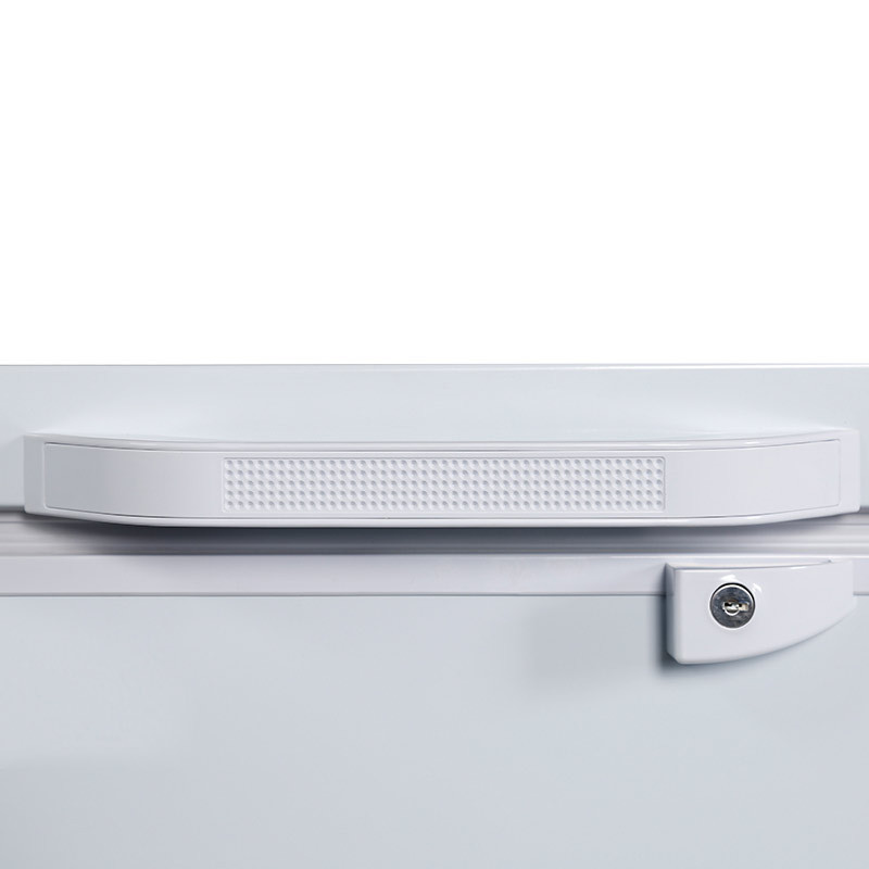 星星 (XINGX) 865升 大容量卧式冷冻柜商用大冷柜 悬停门体 BD/BC-898GE BD/BC-888GD高清大图