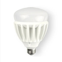 FSL佛山照明超炫系列大功率LED球泡 30W 螺口 白光 6500K