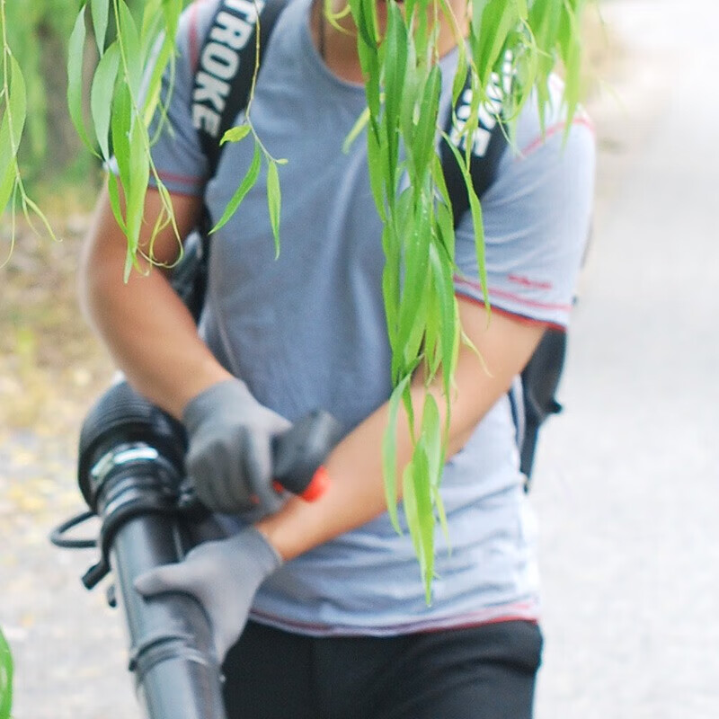 凯姿(KAZZ) KZ985F 背负式四冲程汽油大功率风力灭火机大棚吹雪机 吹树叶吹风机 单位:台高清大图