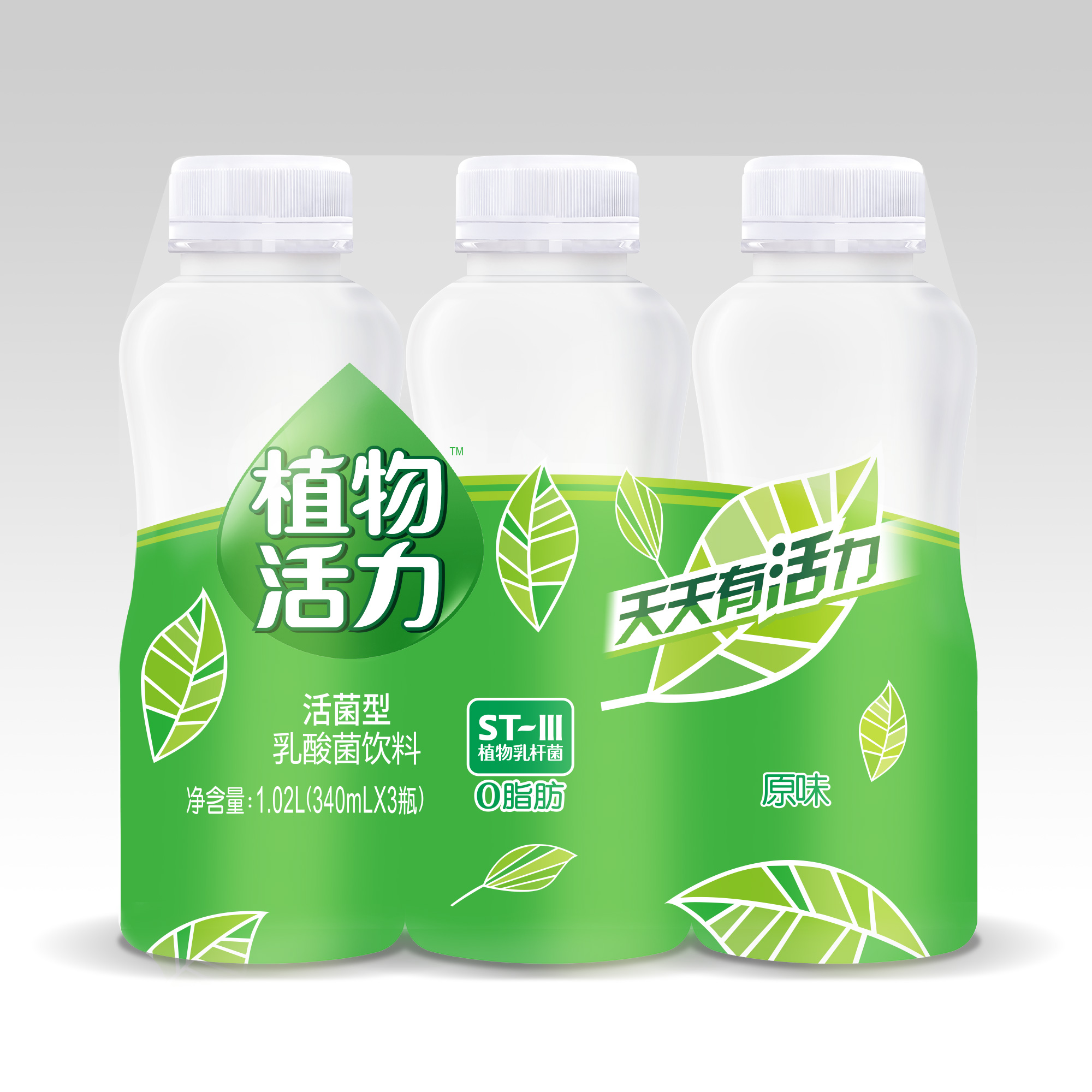 光明植物活力乳酸菌饮料340ml3