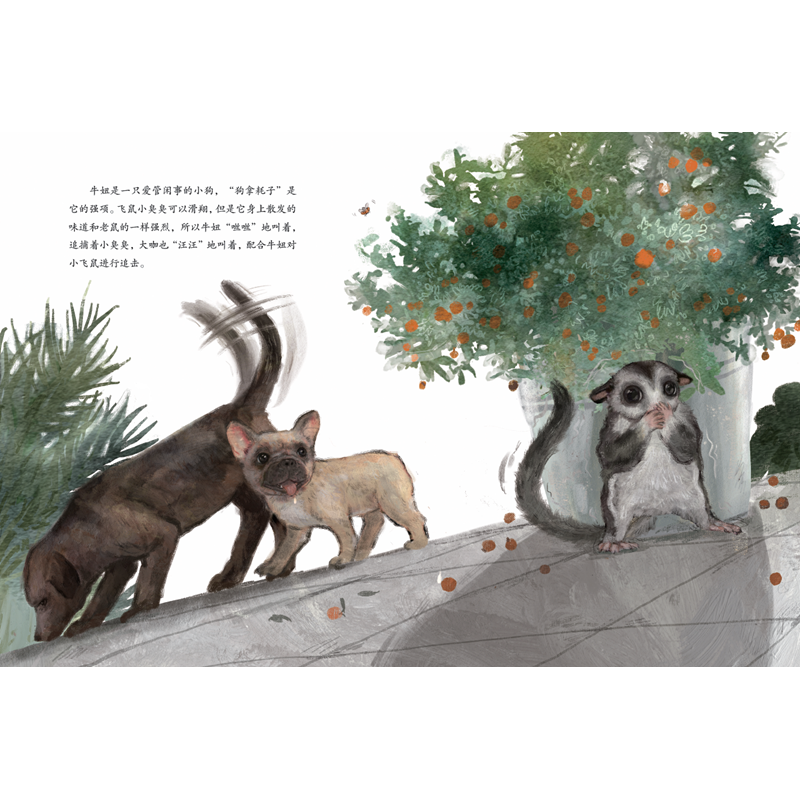 正版新书]小飞鼠和它的朋友-高洪波 绘本 高洪波高洪波978750161高清大图