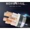 安普津盛 铜芯铠装电力电缆YJV22 4*1.5mm0.6/1kv 米