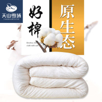 天山雪域 被子棉被100%正宗新疆特级长绒棉花被芯学生宿舍棉絮盖垫被有网棉胎6斤