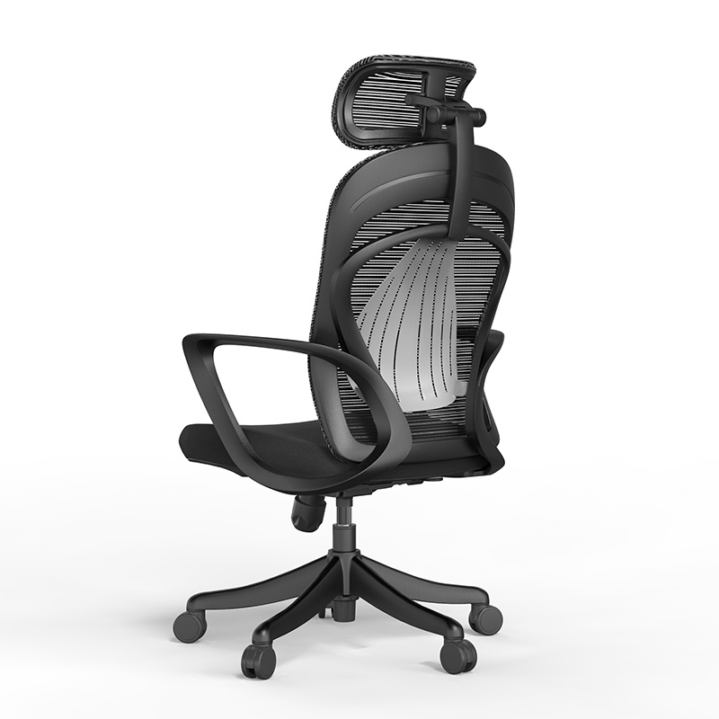 初嘉(CJ) BGY-18人体工学椅电脑椅撑腰办公椅家用老板椅电竞椅靠背转椅座椅高清大图