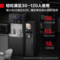德玛仕(DEMASHI)直饮机 商用学校烧水机 学校专用开水器直饮水机 一开一温 SRZ-30/SRZ-2L L5