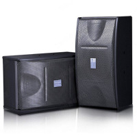 新科(Shinco) DK-450A 家庭影院KTV音响 家用会议舞台音箱低音炮卡包音响 10英寸 一对KTV卡包音响