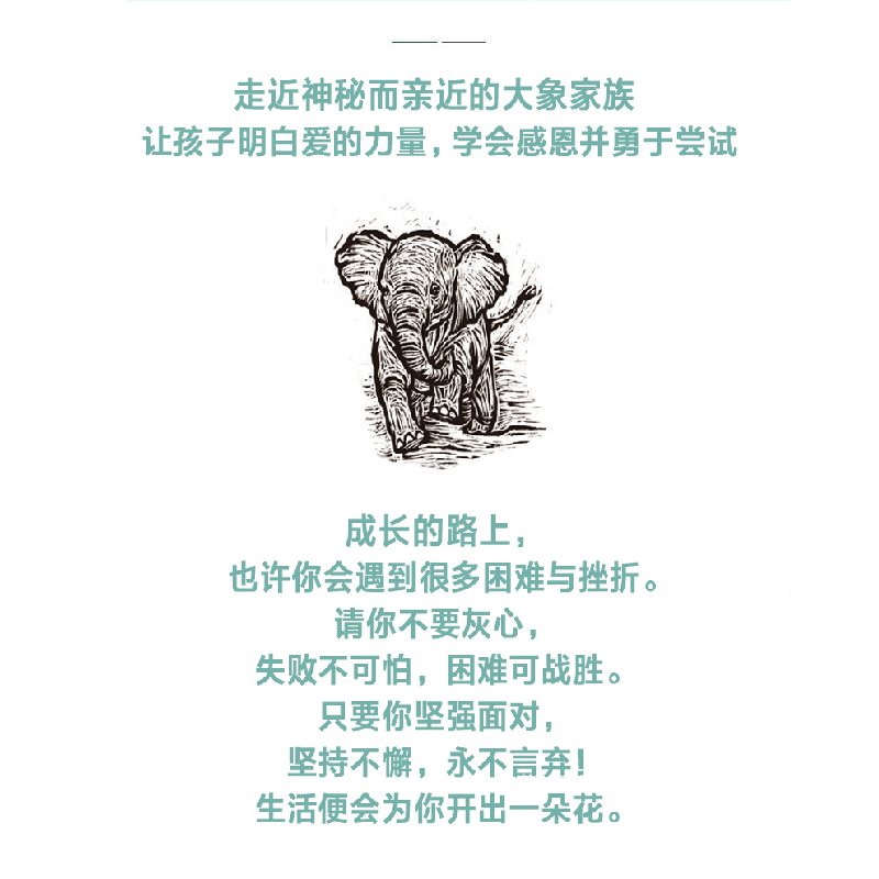 醉染图书小象,加油!9787570119073高清大图