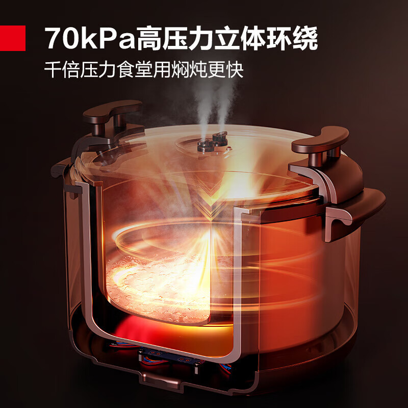 德玛仕(DEMASHI) CY550-500 电压力锅 50L 微电脑控制 黑色 电饭煲高清大图