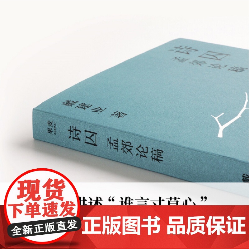 诗囚 孟郊论稿 戴建业作品集 戴建业 著 文学高清大图