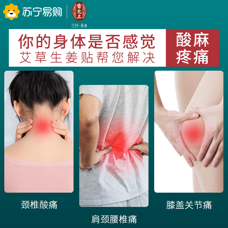 雷允上 艾草膝盖帖艾叶发热热敷贴关节疼痛艾灸贴中医保健脖子不适 一盒/12贴