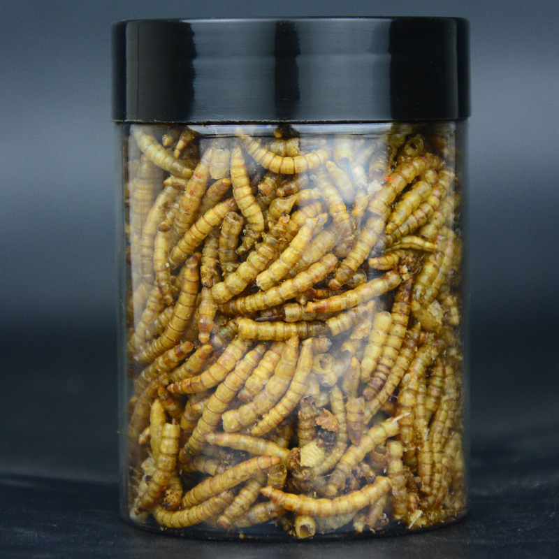 龟粮小乌龟饲料鱼干虾干幼龟开口通用巴西龟草龟龟料颗粒专用食物