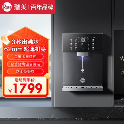 Rheem瑞美壁挂管线机RMGX-25CB-H1