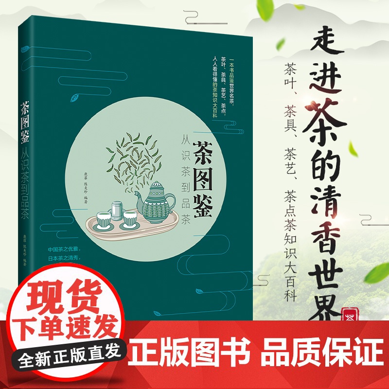 茶图鉴:从识茶到品茶 康菲 中国轻工业出版社 正版书籍高清大图