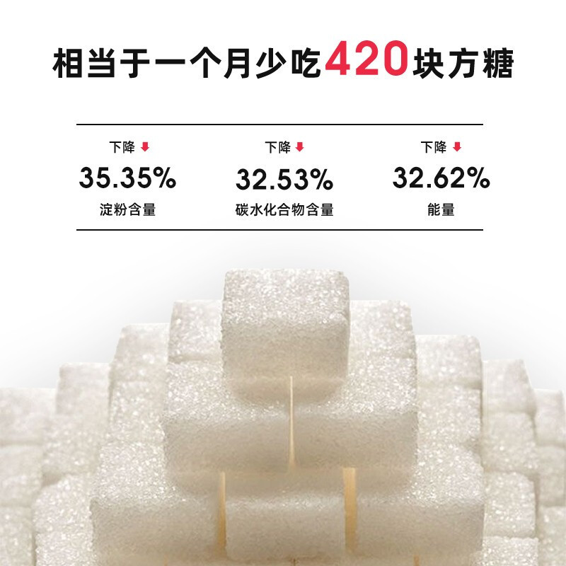 瑞徕德（Ronneby Bruk）电饭煲 家用智能4L多功能预约电饭锅 森墨绿系列 RB-0010