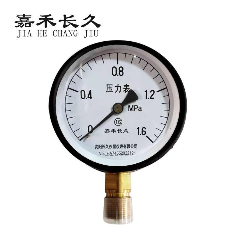 嘉禾长久+压力表检测定制型+Y100+块 0-1.6Mpa