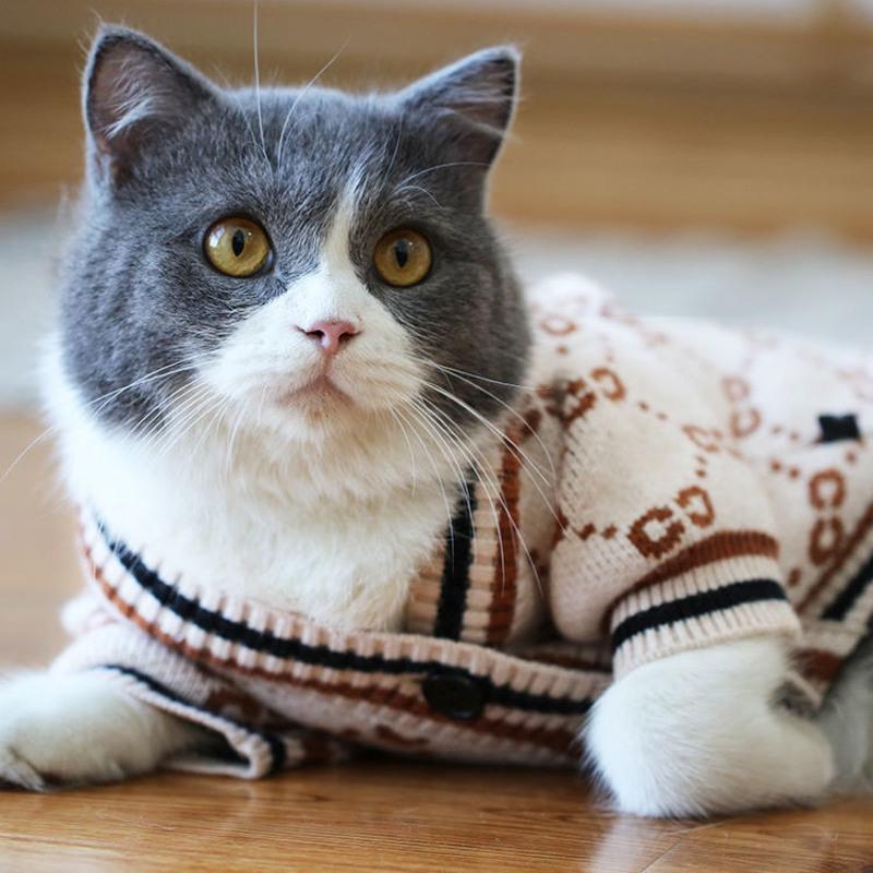 xs 猫咪衣服秋冬装宠物小猫英短蓝猫暹罗无毛猫幼猫保暖可爱加厚毛衣