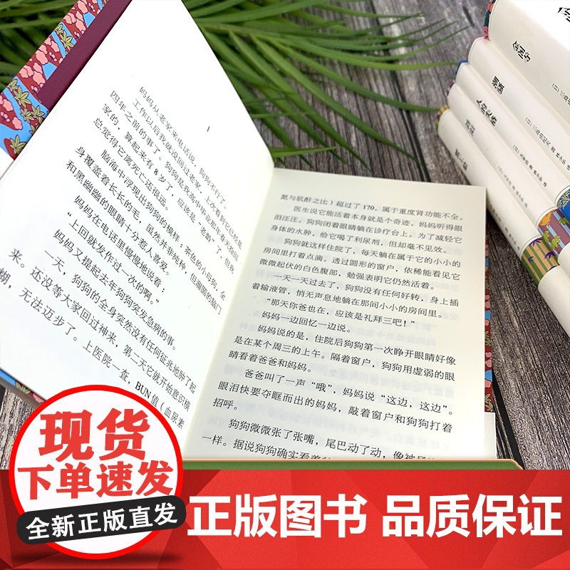 西西弗书店 金阁寺 口袋书 青鸟文库系列书 特装书金阁寺三岛由纪夫文学书籍读物文学奖读物文学经典三岛由纪夫集大成之作高清大图