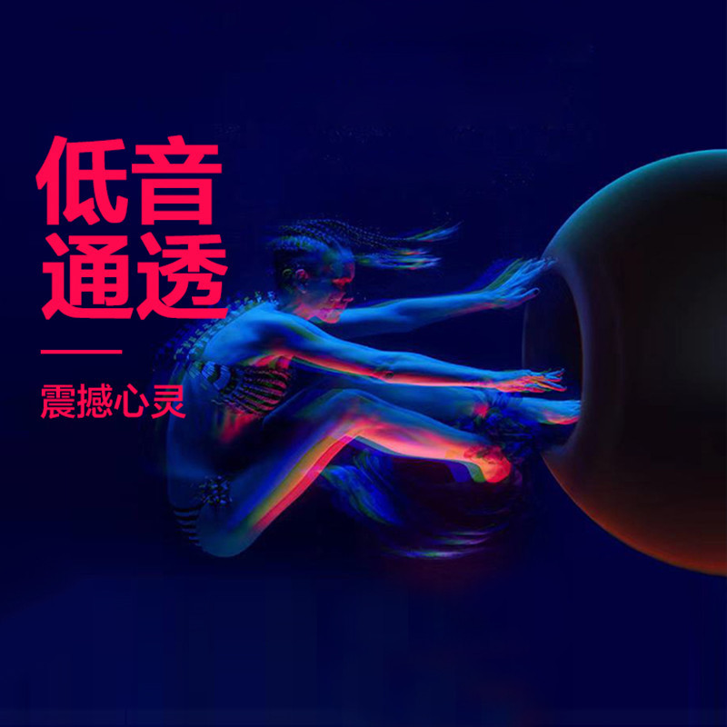 亦鲨HEESHARK入耳式耳机四核双动圈K歌手机通用耳塞线重低音高清吃鸡游戏电脑
